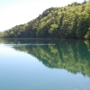 Alatsee